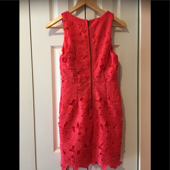 Beautiful Rich Coral Lace Mini by Astr The Label - Picture 6 of 8